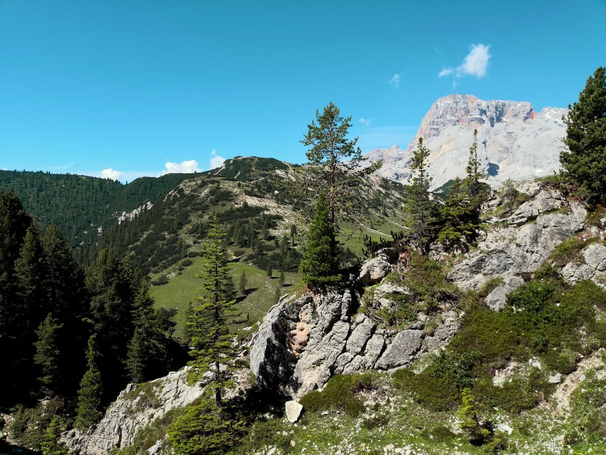 Pedali e Passione: Il Giro d'Italia